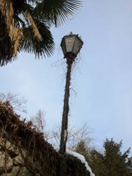 lampione rotto casciago
