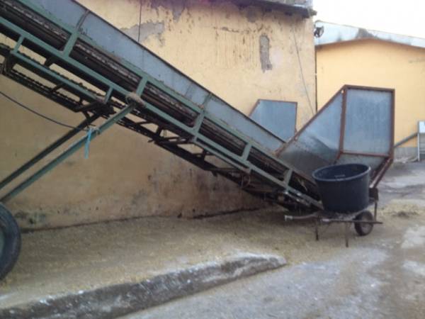 Le scuderie a rischio (inserita in galleria)