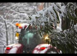 Neve a Bologna (inserita in galleria)