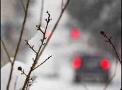 Neve a Bologna (inserita in galleria)