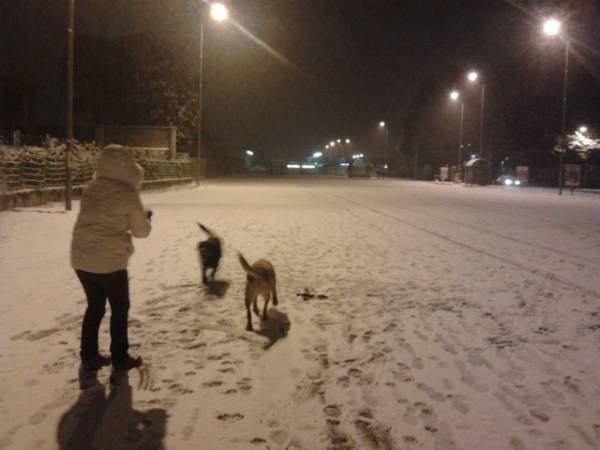 Neve a Busto (inserita in galleria)