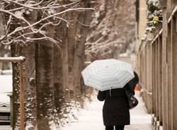 Neve a Saronno (inserita in galleria)