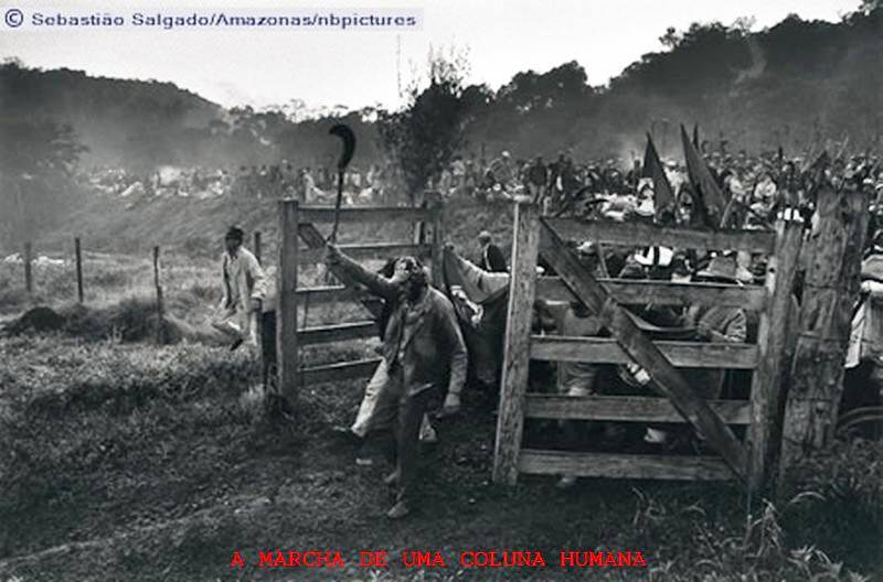 prova 99