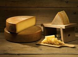 svizzera, prodotti tipici, formaggio