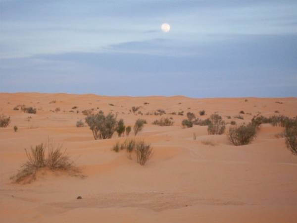 100 chilometri nel deserto (inserita in galleria)