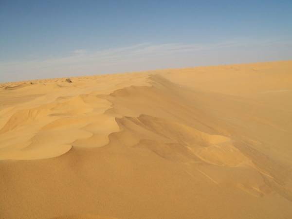 100 chilometri nel deserto (inserita in galleria)