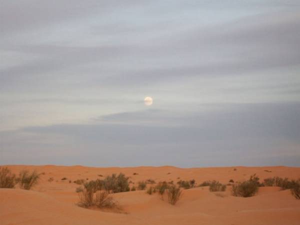 100 chilometri nel deserto (inserita in galleria)