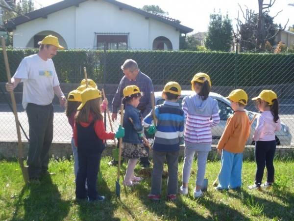 Bambini piantano alberi a Tradate (inserita in galleria)