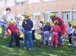 Bambini piantano alberi a Tradate (inserita in galleria)