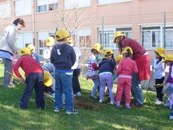 Bambini piantano alberi a Tradate (inserita in galleria)
