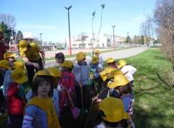 Bambini piantano alberi a Tradate (inserita in galleria)
