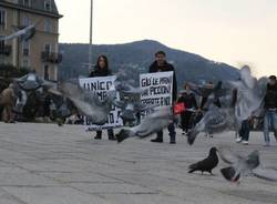 Blitz animalista contro l'ordinanza atipiccioni (inserita in galleria)