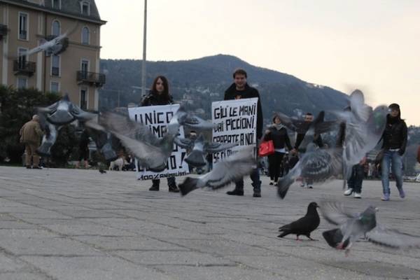 Blitz animalista contro l'ordinanza atipiccioni (inserita in galleria)