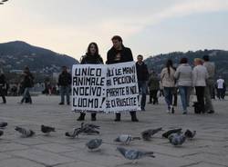 Blitz animalista contro l'ordinanza atipiccioni (inserita in galleria)