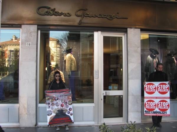 Blitz animalista in pellicceria (inserita in galleria)