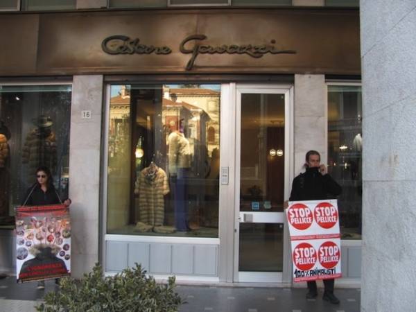 Blitz animalista in pellicceria (inserita in galleria)