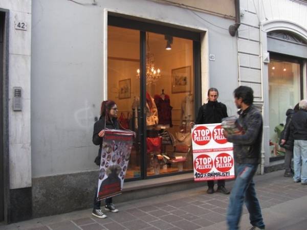 Blitz animalista in pellicceria (inserita in galleria)