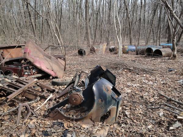 bosco ferno auto abbandonate