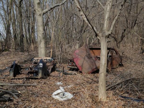 bosco ferno auto abbandonate