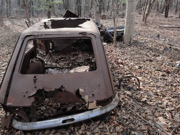bosco ferno auto abbandonate