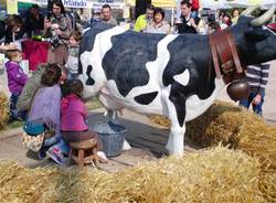 Festa di primavera a Cuasso (inserita in galleria)