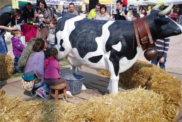 Festa di primavera a Cuasso (inserita in galleria)