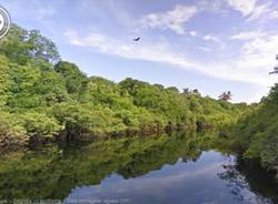 Google Street View nella foresta amazzonica (inserita in galleria)