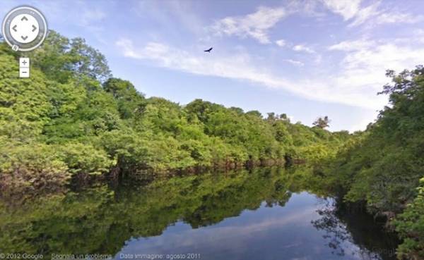Google Street View nella foresta amazzonica (inserita in galleria)