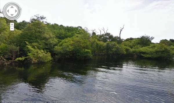 Google Street View nella foresta amazzonica (inserita in galleria)