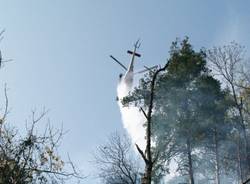 Il fuoco distrugge la collina (inserita in galleria)