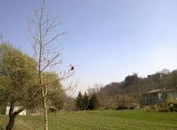 Incendio alla Folla di Malnate (inserita in galleria)