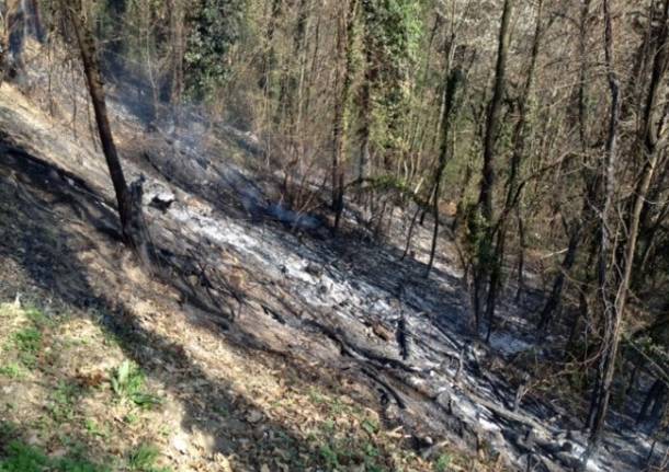 Incendio boschivo a Casale Litta (inserita in galleria)