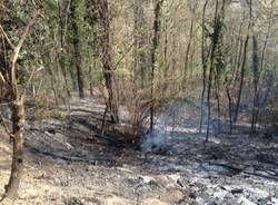 Incendio boschivo a Casale Litta (inserita in galleria)