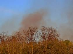 Incendio bosco a Cassano Magnago (inserita in galleria)