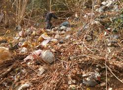 La raccolta dei rifiuti nei boschi di Gurone (inserita in galleria)