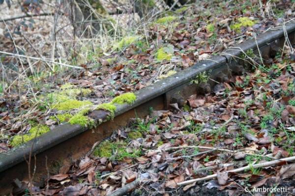 La Valmorea dimenticata (inserita in galleria)