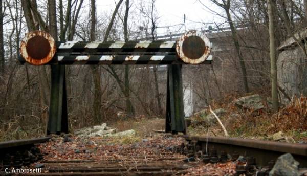 La Valmorea dimenticata (inserita in galleria)