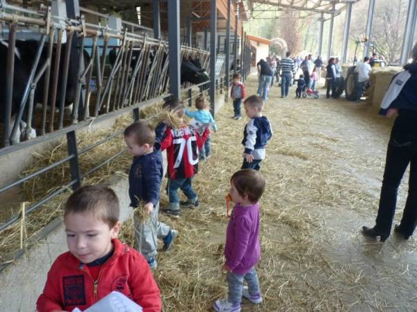 Maxi raduno di famiglie con gemelli (inserita in galleria)