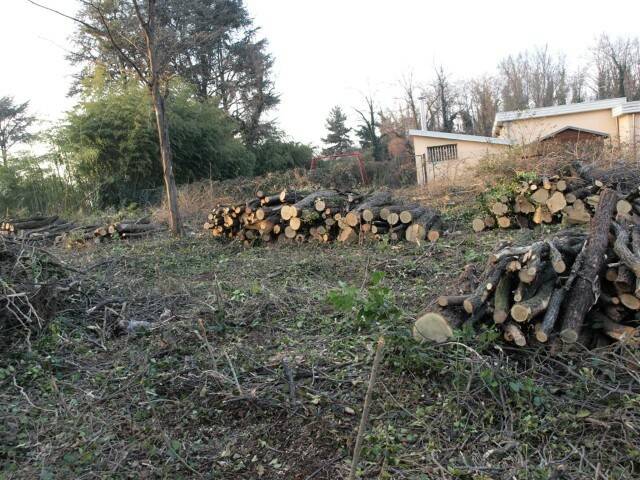 taglio parco ronchi 012