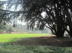 Tradate, dentro il parco di Villa Inzoli (inserita in galleria)