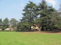 Tradate, dentro il parco di Villa Inzoli (inserita in galleria)