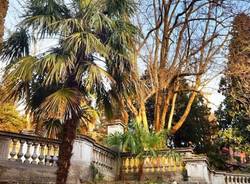 Varese su Instagram (inserita in galleria)