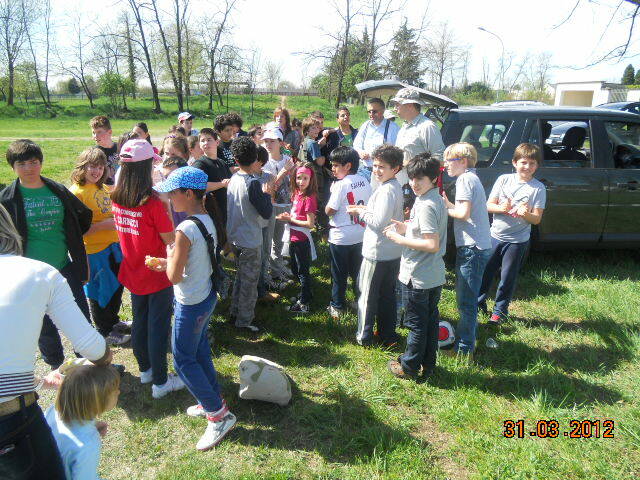 bosco  12 