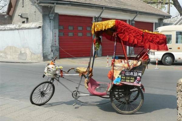 Cina