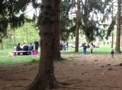 Il picnic a parco Zanzi (inserita in galleria)