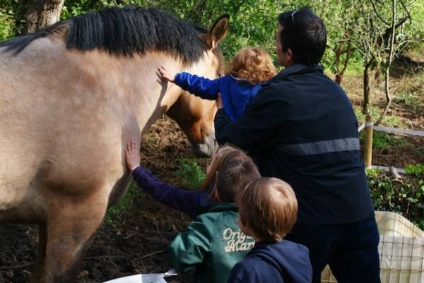 Inaugurato il parco di Villa Inzoli (inserita in galleria)