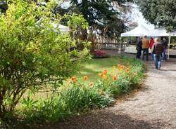Inaugurato il parco di Villa Inzoli (inserita in galleria)