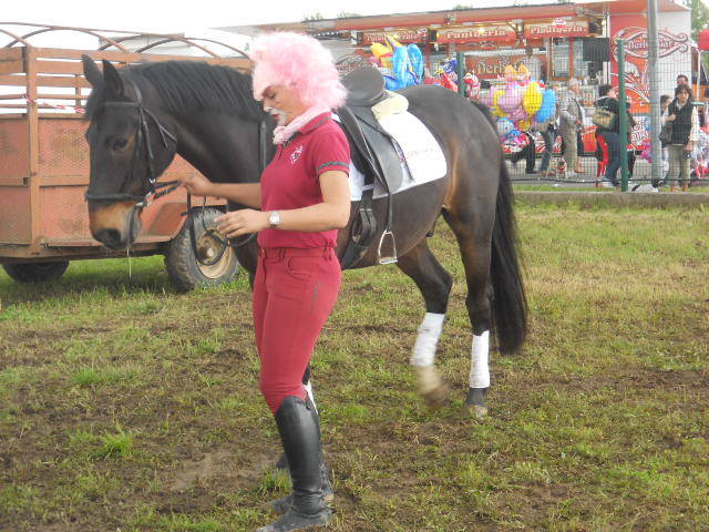 La Pantera e il Cavallo ! 