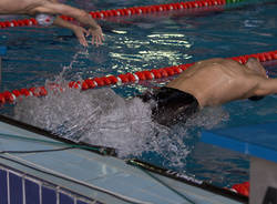 Nuoto protagonista a Busto Arsizio (inserita in galleria)