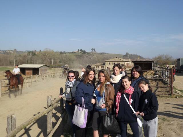 siena  23 